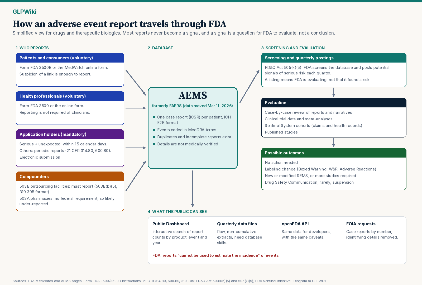 Flow diagram. On the left, four kinds of reporters: patients and consumers using Form 3500B or the online form, health professionals using Form 3500, application holders sending mandatory electronic 15-day and periodic reports, and 503B outsourcing facilities reporting under 21 CFR 310.305; a note says 503A pharmacies have no federal reporting requirement. Arrows lead to the AEMS (formerly FAERS) database, where reports are coded in MedDRA and stored as ICH E2B case reports. From there arrows lead to FDA screening and quarterly potential-signal postings, then to evaluation using case review, clinical trial data, the Sentinel System and literature, and finally to possible outcomes: no action, labeling change, REMS, Drug Safety Communication, or more data. A side branch shows public outputs: the AEMS Public Dashboard, quarterly data files, openFDA and FOIA requests.