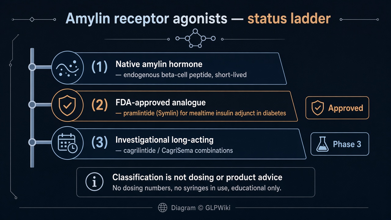 Educational status ladder showing native amylin, FDA-approved pramlintide, and investigational long-acting cagrilintide and CagriSema
