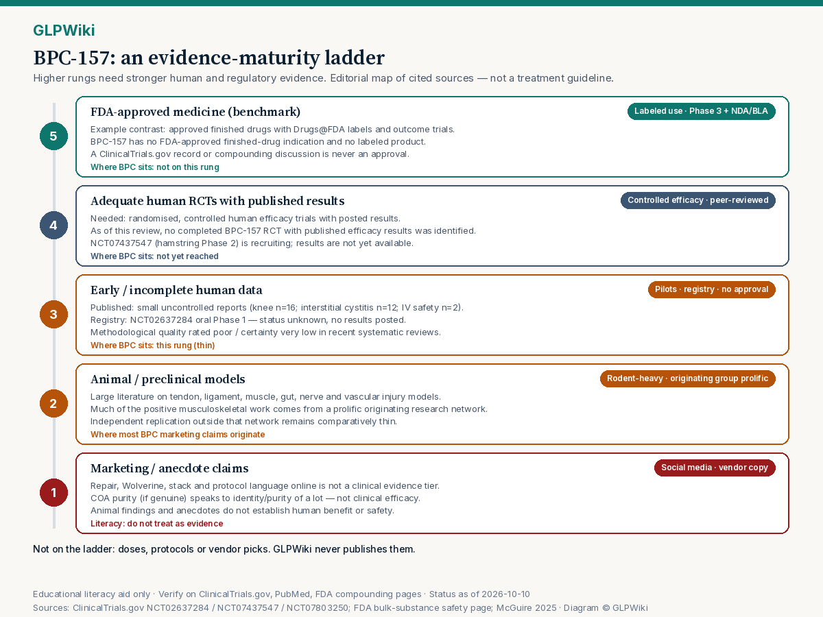 Five-rung evidence ladder from marketing/anecdote (bottom) through animal models, early incomplete human data, adequate human RCTs with published results, up to FDA-approved medicine (top). Annotations show BPC-157 sitting on the early human rung with most marketing claims originating from animal models.