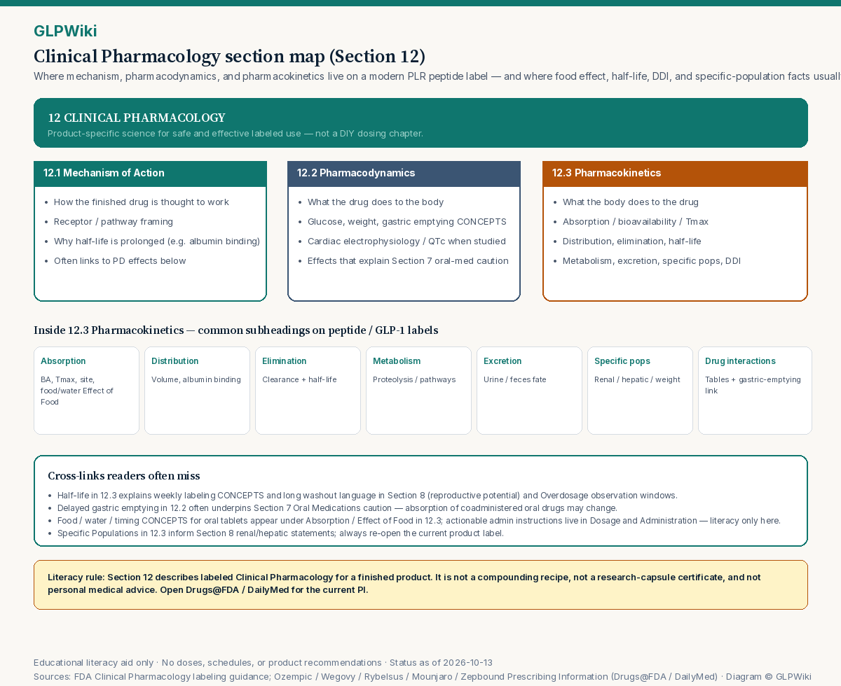 Educational map of FDA Prescribing Information Section 12 Clinical Pharmacology showing 12.1 Mechanism of Action, 12.2 Pharmacodynamics, and 12.3 Pharmacokinetics subheadings including absorption, food effect, distribution, elimination, metabolism, excretion, specific populations, and drug interactions.