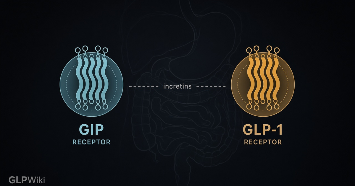 Educational illustration of GIP and GLP-1 receptors as paired incretin targets against a dark clinical GLPWiki background