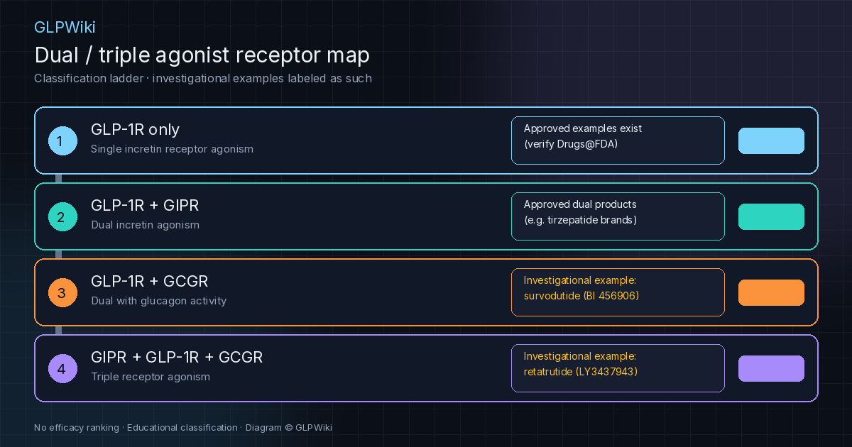 Educational receptor map distinguishing single, dual, and triple metabolic peptide agonists