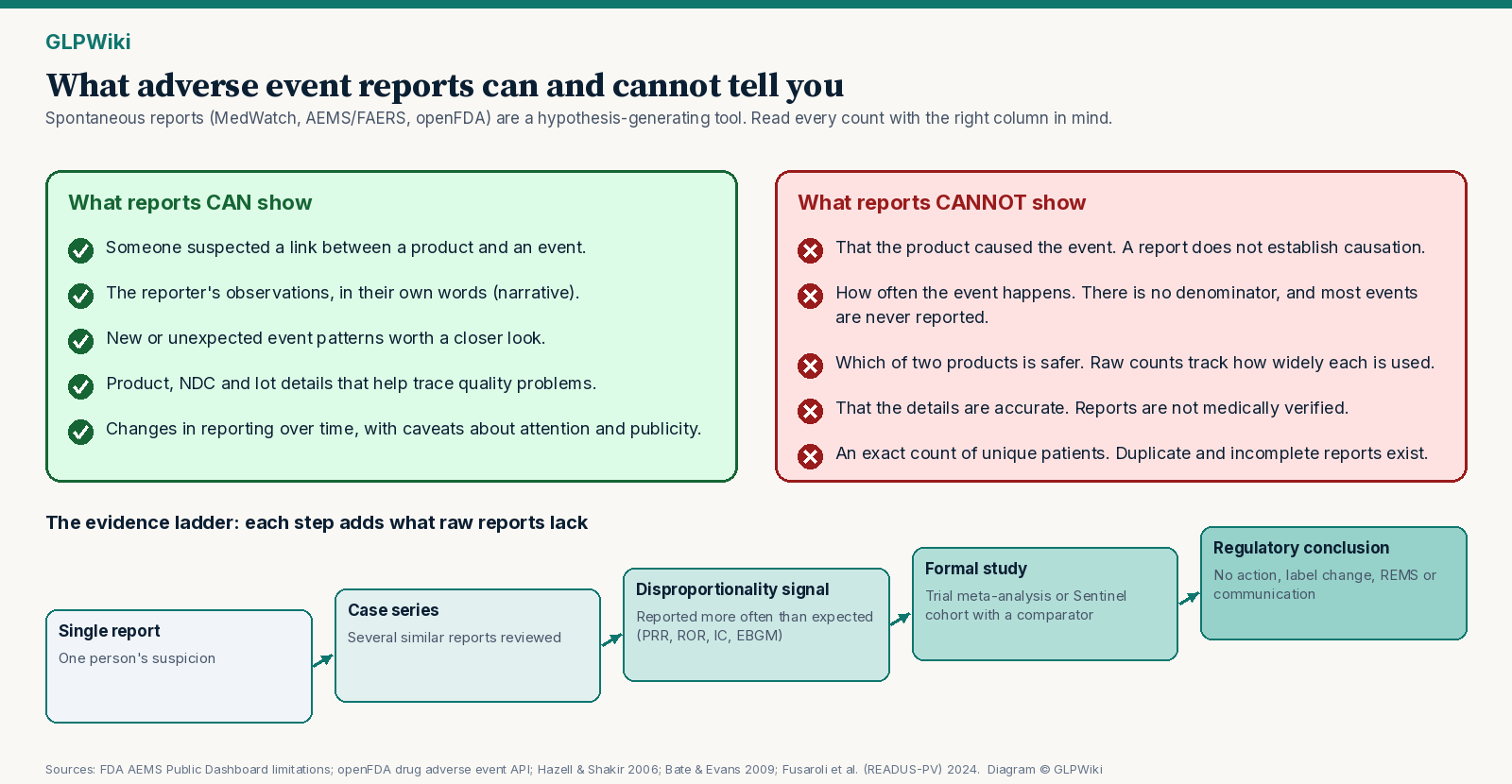 Two-column diagram titled What adverse event reports can and cannot tell you. The left column, What reports can show, lists: someone suspected a link between a product and an event; the reporter's observations in their own words; new or unexpected event patterns worth a closer look; product, lot and NDC details that help trace quality problems; and changes in reporting over time, with caveats. The right column, What reports cannot show, lists: that the product caused the event; how often the event happens (no denominator); which of two products is safer; that the details were medically verified; and an exact count of unique patients, because duplicates exist. A ladder along the bottom runs from a single report, to a case series, to a disproportionality signal, to a formal study such as a trial meta-analysis or Sentinel cohort, to a regulatory conclusion.