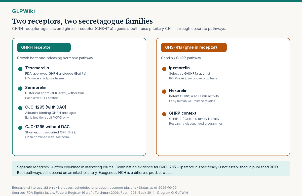 Two-column educational diagram. Left, teal: GHRH receptor family listing tesamorelin (FDA-approved), sermorelin (historical approval, withdrawn), CJC-1295 with DAC, and CJC-1295 without DAC. Right, amber: GHS-R1a ghrelin-receptor family listing ipamorelin, hexarelin, and GHRP context. Bottom note: separate receptors are often combined in marketing; combination RCT evidence for CJC-1295 plus ipamorelin is not established.