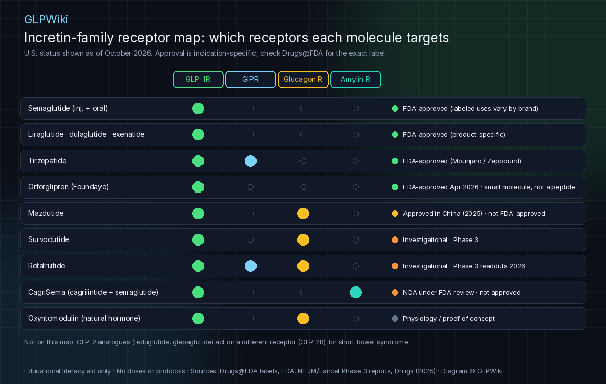 Educational receptor map table: rows for semaglutide, liraglutide dulaglutide exenatide, tirzepatide, orforglipron, mazdutide, survodutide, retatrutide, CagriSema and oxyntomodulin; columns for GLP-1, GIP, glucagon and amylin receptors with filled dots for targets; a status column showing FDA-approved, approved in China only, investigational Phase 3, or NDA under FDA review as of October 2026; note that GLP-2 analogues use a different receptor