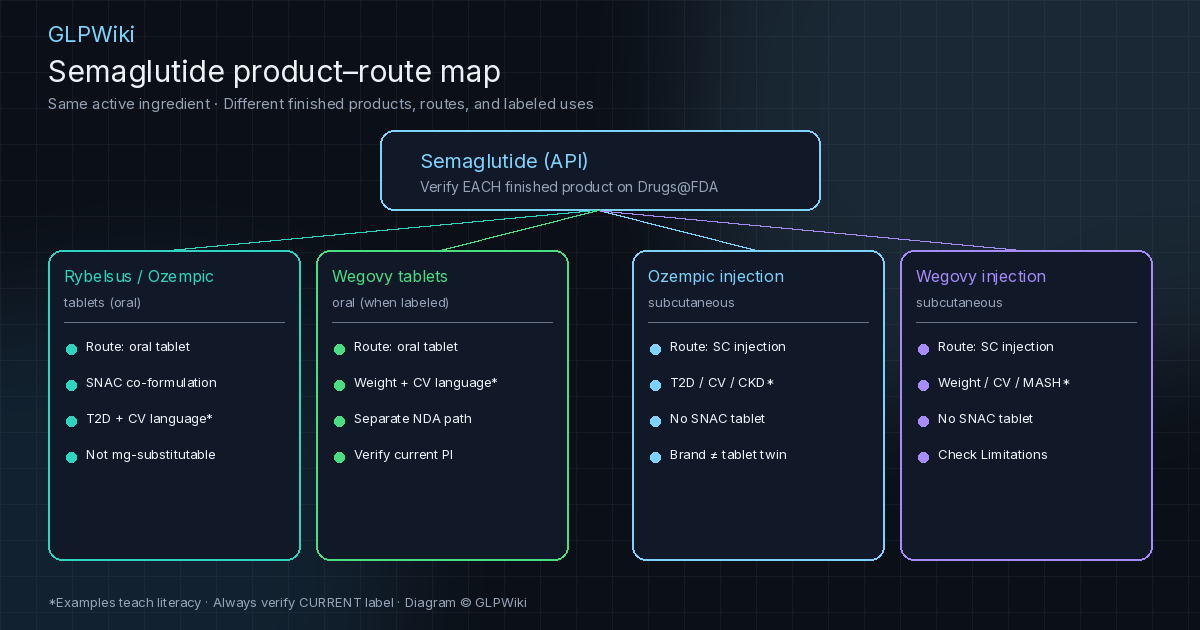 Educational map of four semaglutide finished-product cards — Rybelsus/Ozempic tablets, Wegovy tablets, Ozempic injection, and Wegovy injection — branching from a central API verify habit