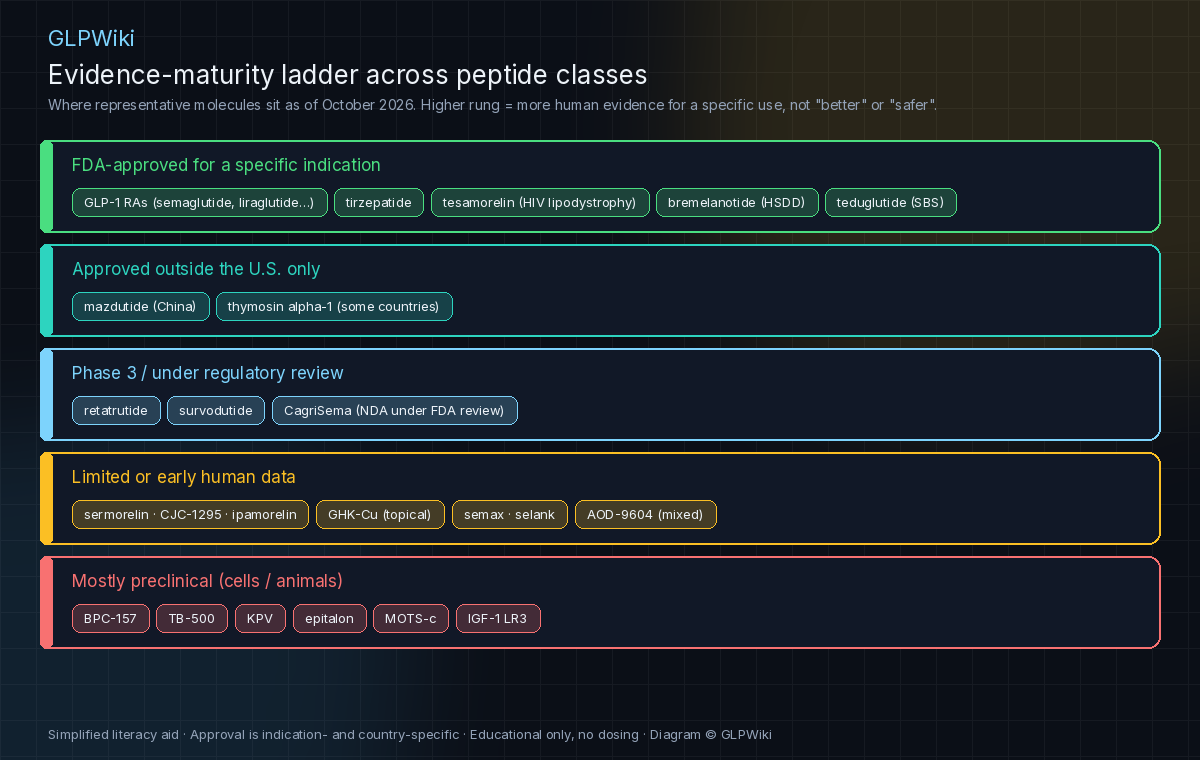 Educational evidence-maturity ladder with five rungs: FDA-approved for a specific indication (GLP-1 receptor agonists, tirzepatide, tesamorelin, bremelanotide, teduglutide); approved outside the U.S. only (mazdutide in China, thymosin alpha-1 in some countries); Phase 3 or under regulatory review (retatrutide, survodutide, CagriSema); limited or early human data (sermorelin, CJC-1295, ipamorelin, GHK-Cu topical, semax, selank, AOD-9604); mostly preclinical (BPC-157, TB-500, KPV, epitalon, MOTS-c, IGF-1 LR3)