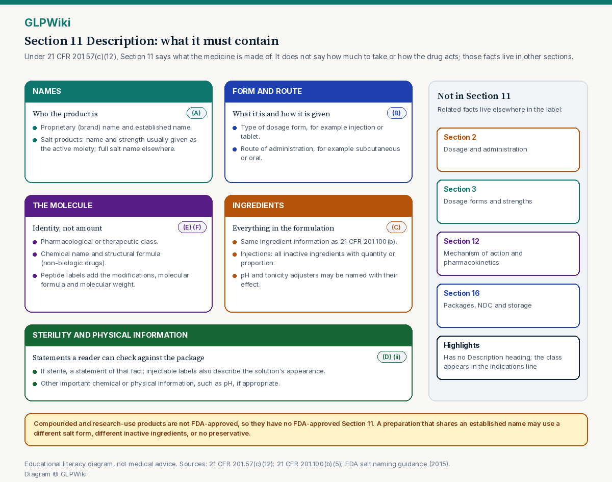 Educational map of Section 11 Description under 21 CFR 201.57(c)(12): panels for names (proprietary and established name), dosage form and route, the molecule (pharmacological class, chemical name, structural formula, molecular formula and weight), ingredients under 201.100(b) (active ingredient and, for injections, all inactive ingredients with quantity or proportion), sterility statement, and physical information such as pH. A side column shows where related information lives instead: Section 3 for forms and strengths, Section 12 for mechanism of action, Section 16 for packages, NDC and storage, and Section 2 for dosage. A note says compounded and research-use products have no FDA-approved Section 11.