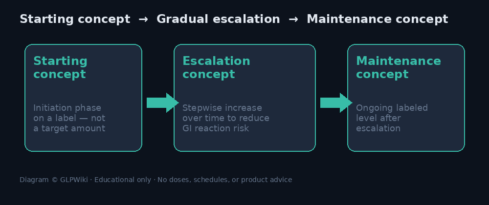 Educational schematic of starting concept, gradual escalation concept, and maintenance concept without doses or schedules